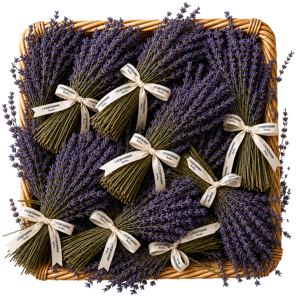 Mazzo lavanda essiccata