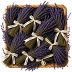Mazzo lavanda essiccata