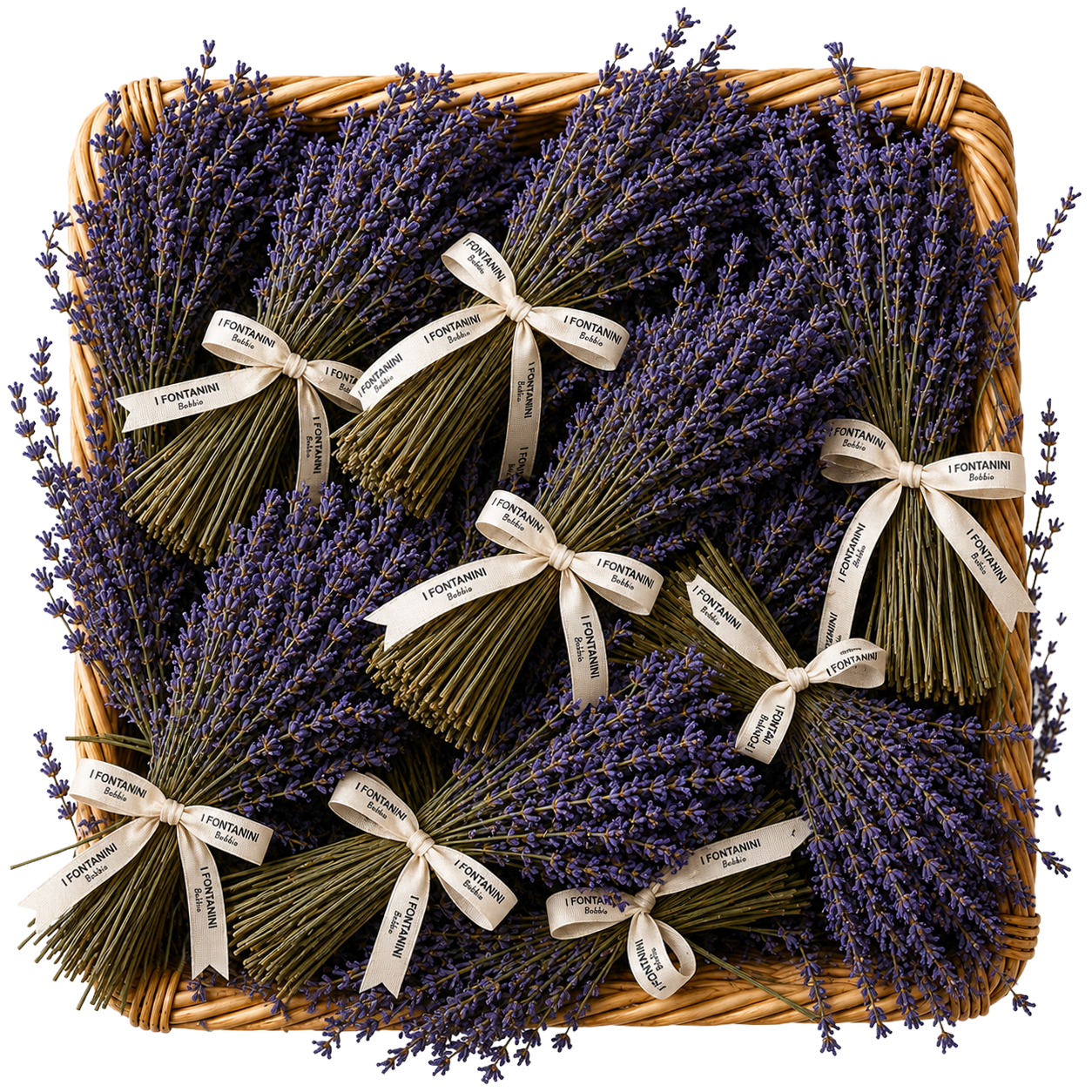 Mazzo lavanda essiccata