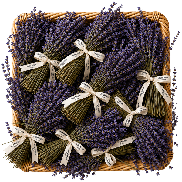Mazzo lavanda essiccata
