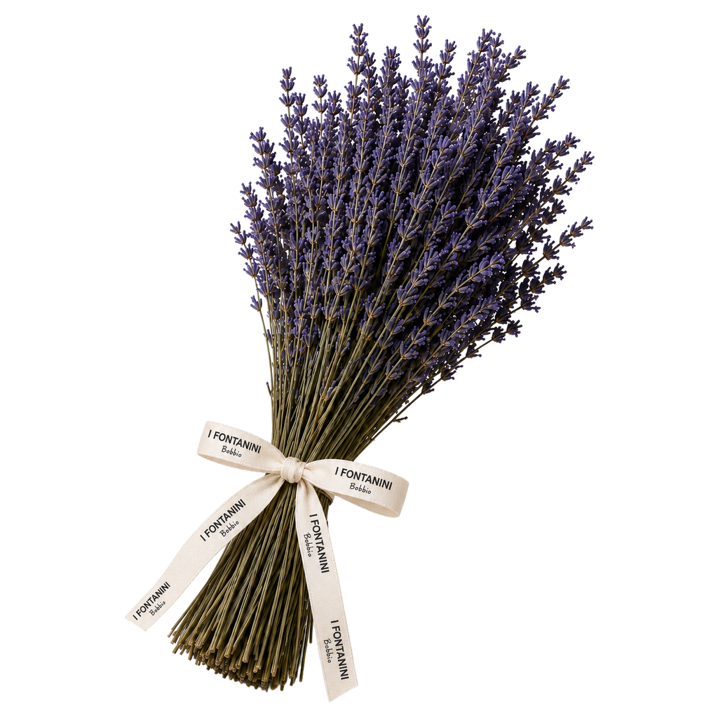 Mazzo lavanda essiccata