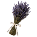 Mazzo lavanda essiccata