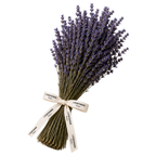 Mazzo lavanda essiccata