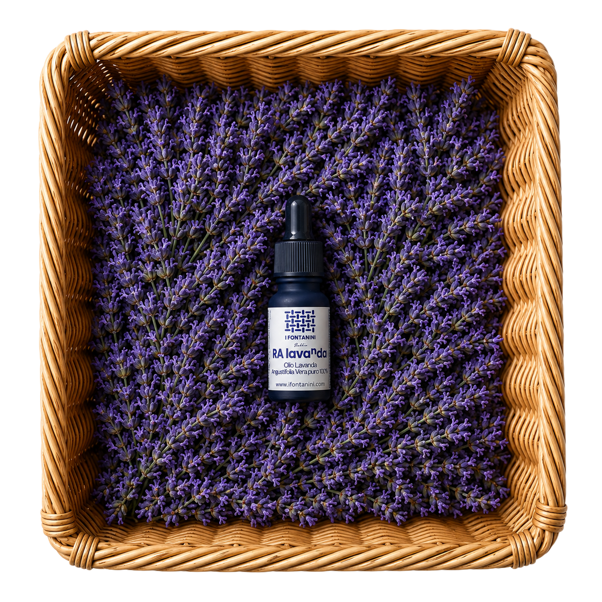 olio lavanda piacenza bobbio
