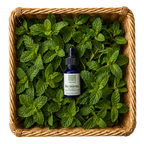 Ra Menta - Olio essenziale di Menta Verde Spicata