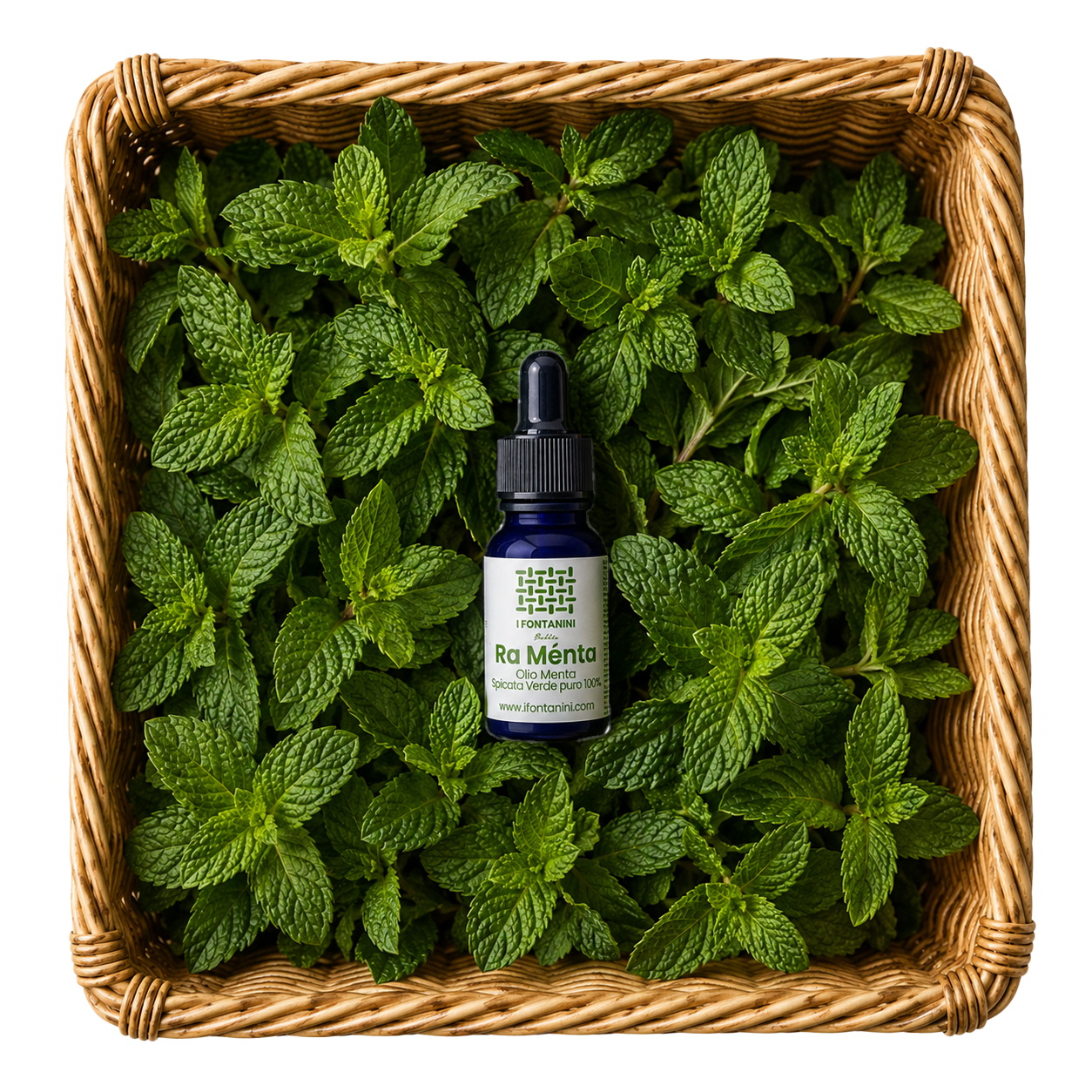 Ra Menta - Olio essenziale di Menta Verde Spicata