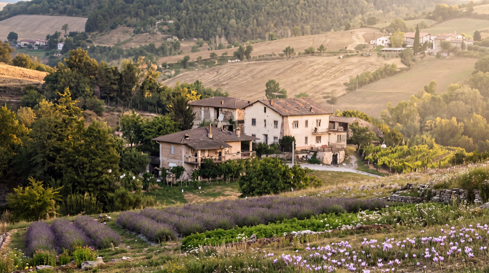 Da quella terra, la nostra casa.